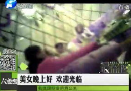 记者 公关私密,一场信任与智慧的较量