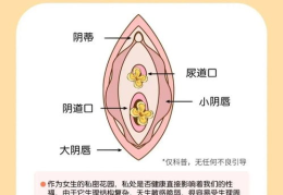 怎样让私密部位变粉,揭秘私密部位变粉的神奇秘籍