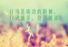 正能量的句子经典语句,正能量经典语句集锦