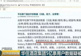 华人私密网站,隐私守护与网络安全的双重挑战