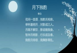 中秋节的诗句 古诗,诗意中秋夜