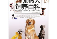 宠物狗网站,全方位宠物养护与交流平台