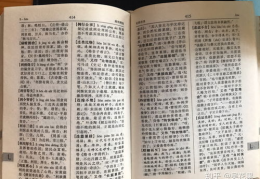 致字开头的成语,致字成语智慧集